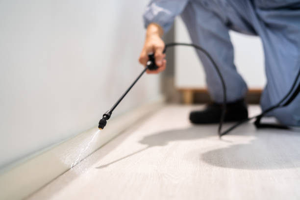 Bed Bug Pre-Treatment Preparation Assessment in Wake Village