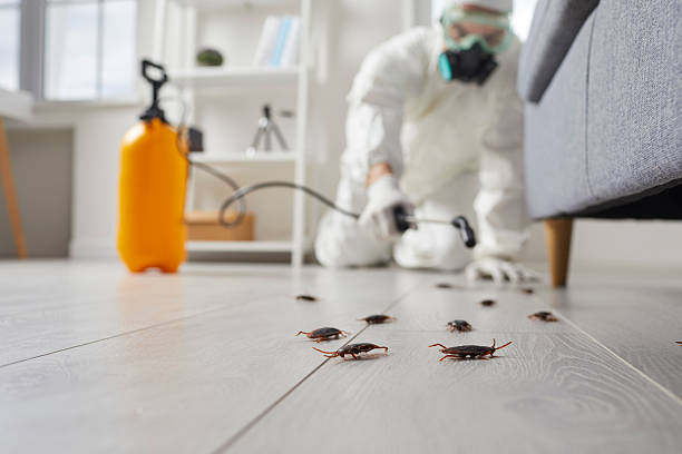 Post-Treatment Bed Bug Interceptor Monitoring in Wake Village