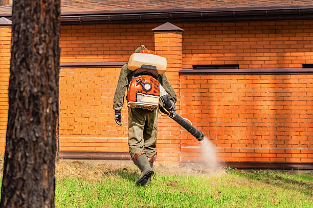 Bed Bug Clearance Verification and Documentation in Wake Village